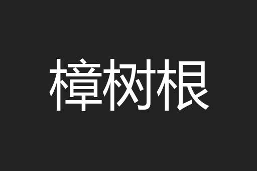 樟树根