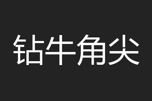 钻牛角尖