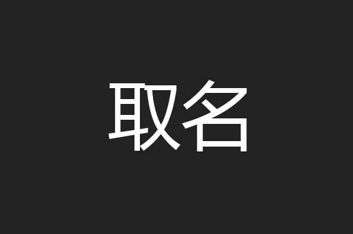 取名