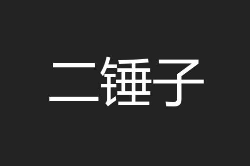 二锤子