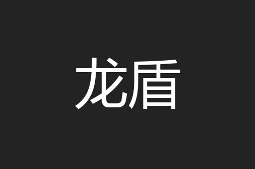 龙盾