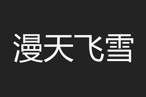 漫天飞雪