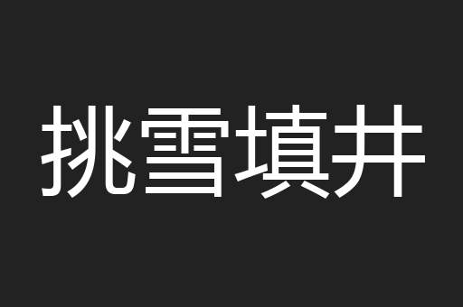 挑雪填井