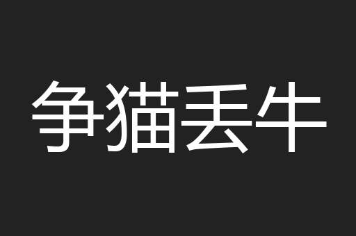 争猫丢牛