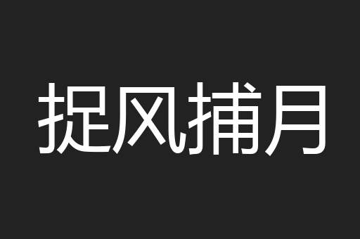 捉风捕月