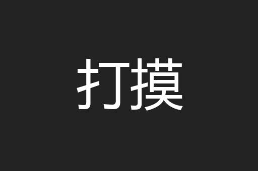打摸