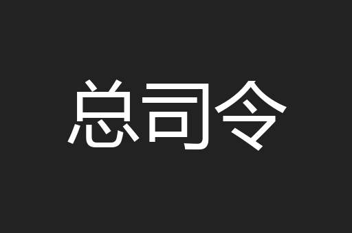 总司令