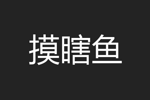 摸瞎鱼