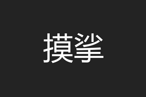 摸挲