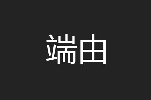 端由