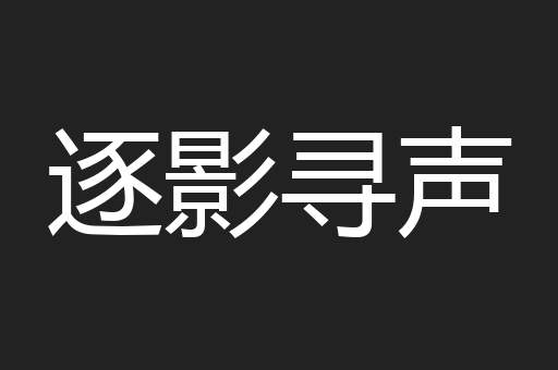 逐影寻声