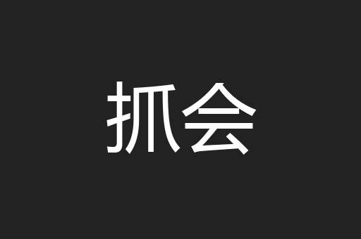 抓会