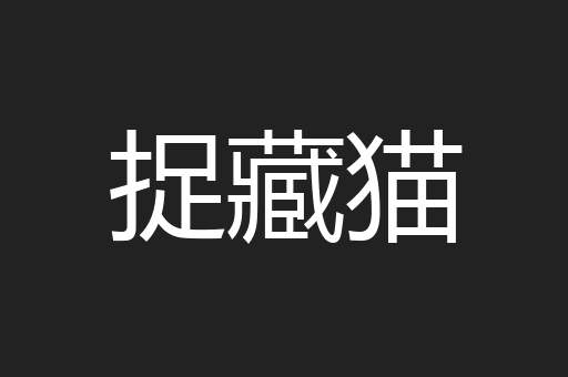 捉藏猫