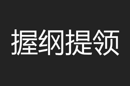 握纲提领