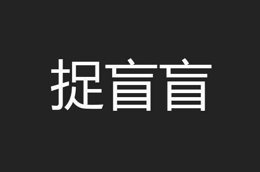 捉盲盲