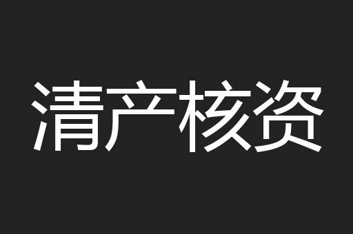 清产核资