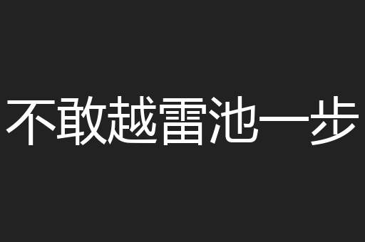 不敢越雷池一步