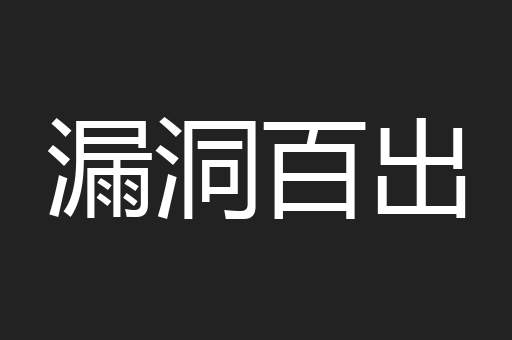 漏洞百出