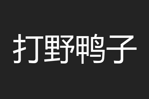 打野鸭子