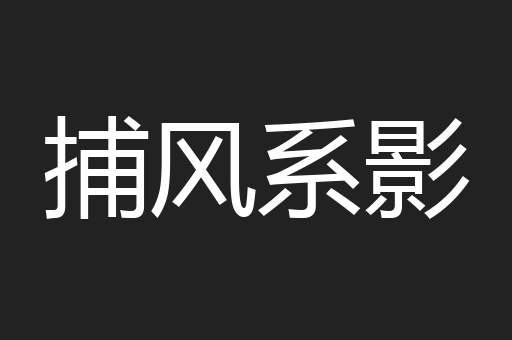 捕风系影