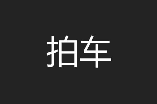 拍车