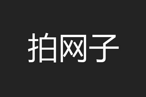 拍网子