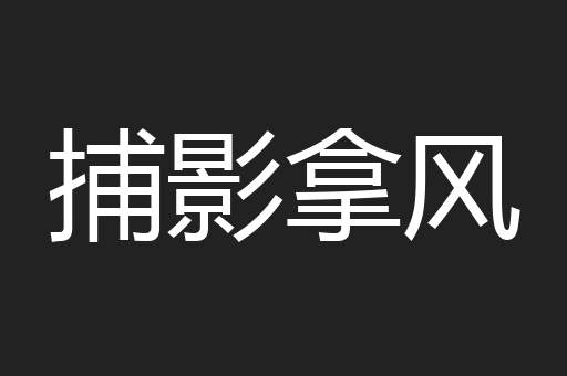 捕影拿风