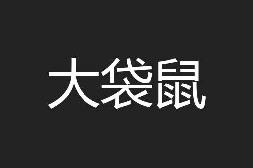 大袋鼠