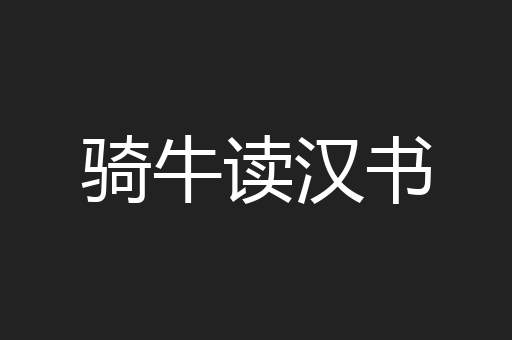 骑牛读汉书