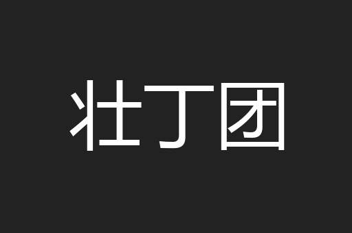 壮丁团