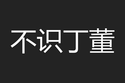 不识丁董