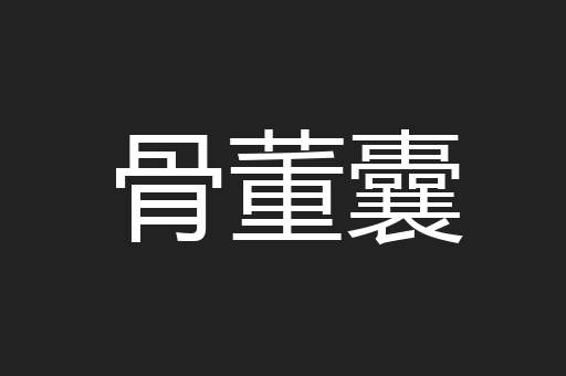骨董囊