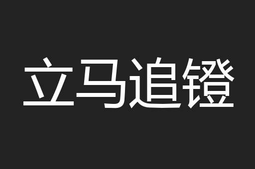 立马追镫