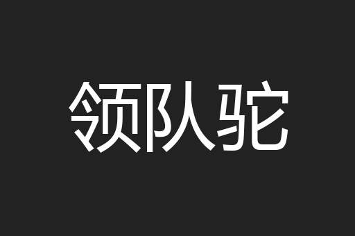 领队驼