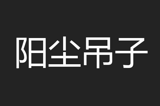 阳尘吊子