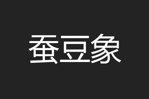 蚕豆象