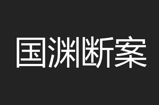 国渊断案