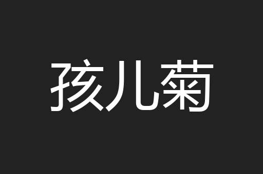 孩儿菊