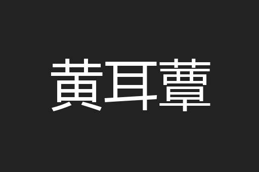 黄耳蕈