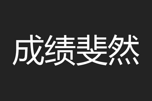 成绩斐然