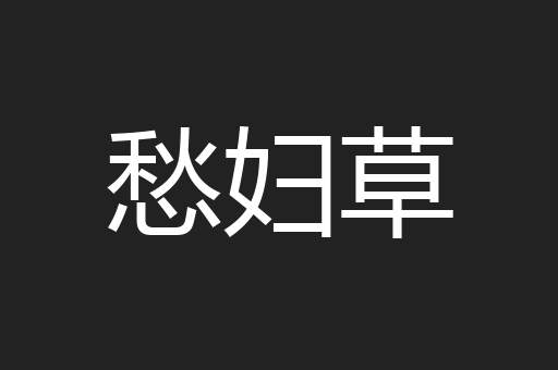 愁妇草