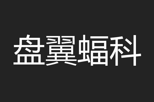 盘翼蝠科
