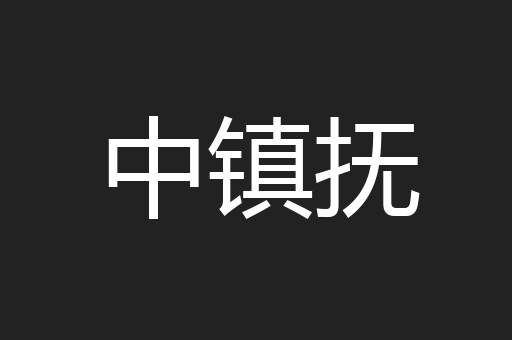 中镇抚