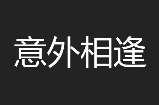 意外相逢