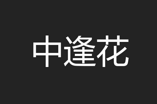 中逢花