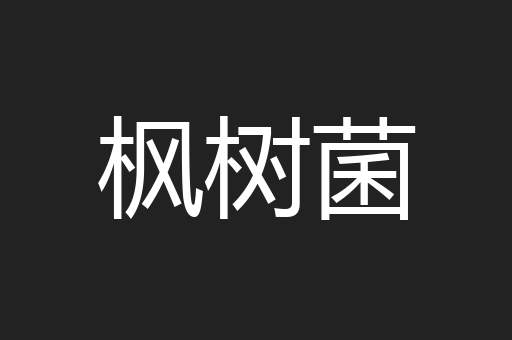 枫树菌