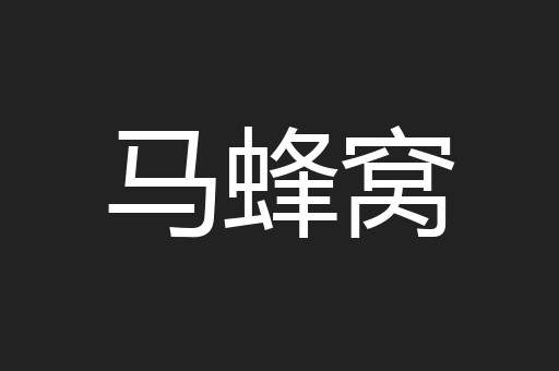 马蜂窝