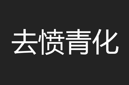 去愤青化