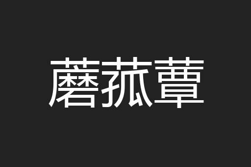 蘑菰蕈