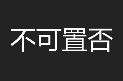 不可置否
